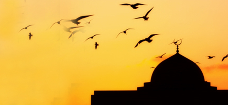 Father Christopher Clohessy: Imam Ali (A.S) is a perfect role model for people 