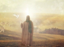 Imam Ali’s Sayings on Perfection 