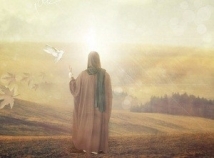 Imam Ali and Philosophy of Religions