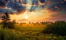 Father of the Orphans: Lesson4, A sense of responsibility for their well-being