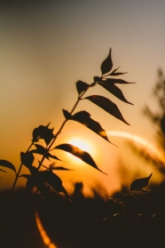 Imam Ali (pbuh) The Real Meaning of Justice part1