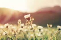  Nahj al-Balaghah and Its Spiritual Teachings (7)