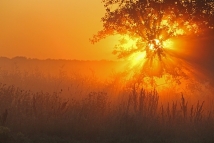 Father of the Orphans: Lesson1, Learning from the orphaned