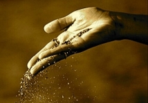 Importance des enseignants selon Imam Ali (as)