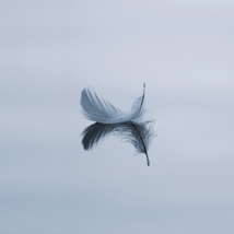 Le compliment et la critique dans les paroles de Imam Ali (as)