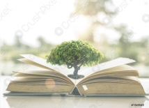 La connaissance et la sagesse