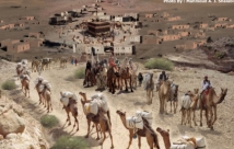 التربية الاخلاقية للمجتمع في كلام الامام علي (ع)